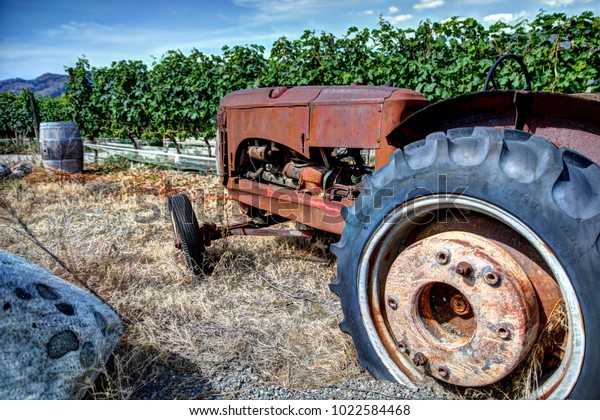 Rusted Old Tractor in a Vine\
Yard