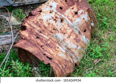 Rusted Out Damaged Industrial 55 Gallon Drum