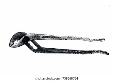 Rusted Pliers Isolated On White.