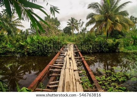 Similar – Image, Stock Photo jungles Virgin forest