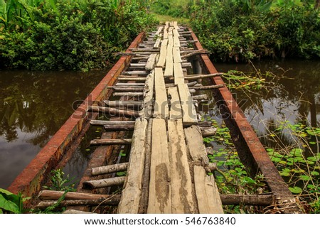 Similar – Image, Stock Photo jungles Virgin forest