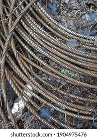 Rusted And Twisted Metal Cable On Forest Floor