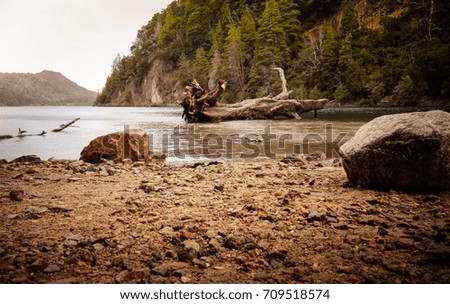 Rustic