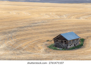 Rustic abandoned shack standing alone in a vast field, showing solitude and agricultural history in eastern Oregon