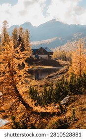 Rustic alpine chalet reflected in calm mountain lake surrounded by golden autumn larch trees with misty in Lago di Federa, Dolomite, Italy