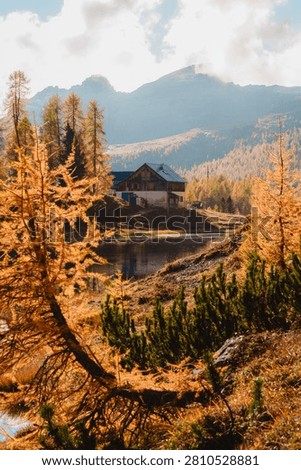 Rustic alpine chalet reflected in calm mountain lake surrounded by golden autumn larch trees with misty in Lago di Federa, Dolomite, Italy