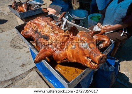 rustic and authentic presentation of Cuchi Canca (Huaraz-style Roasted Pork), a traditional culinary treasure from the Ancash region of the Peruvian Andes. This dish is a centerpiece of local festivities and Sunday markets in the Callejón de Huaylas.