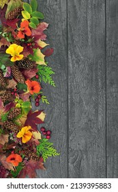 Rustic Autumn Leaf, Flower, Pine Cone And Berry Fruit Natural Abstract Background Border With Old Grey Rustic Weathered Wood. Harvest Festival Composition For The Fall, Halloween And Thanksgiving.