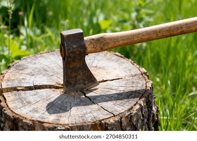 Rustic Axe Embedded in Tree Stump Outdoors