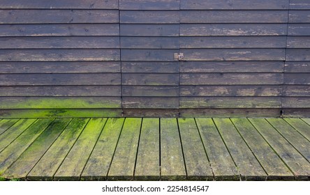 Rustic background. Detail of a tool shed. A lockable door. Dark wooden wall covered with green algae. - Shutterstock ID 2254814547