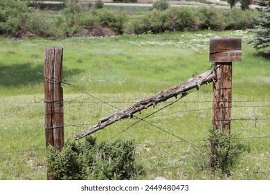 Rustic  barbedwire fence in a field