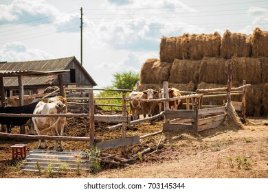 Similar Images Stock Photos Vectors Of Kotel Bulgaria August