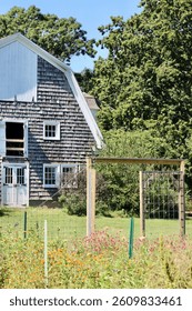 A rustic barn in the summer.