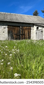 Rustic barn surrounded by a vibrant field of wildflowers and tall grass on a sunny day, capturing the serene beauty of the countryside and rural life