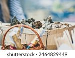 A rustic basket filled with freshly harvested oysters, positioned amidst a market scene, capturing the essence of coastal cuisine and local produce.