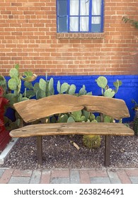 Rustic bench sits before cacti and a vivid blue-trimmed window