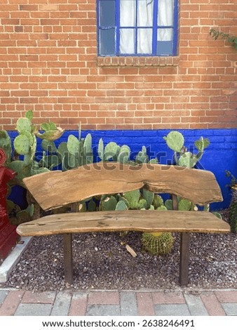 Rustic bench sits before cacti and a vivid blue-trimmed window