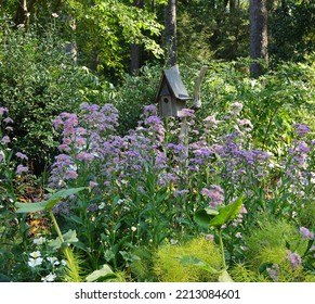 A Rustic Bird House Surrounded By Pollinator Plants And Flowers Provides A Welcoming Spot For Birds.