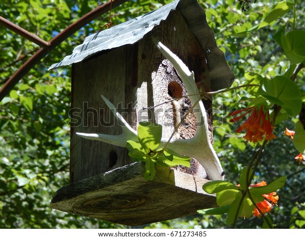 Rustic Birdhouse Stock Photo Edit Now 671273485