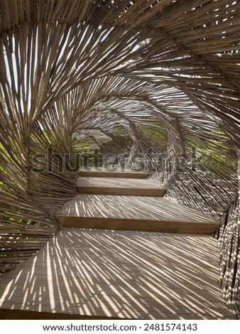 A rustic branch pathway on Tulum beach, Mexico