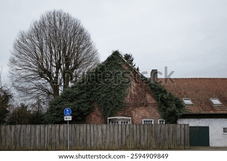 A rustic brick house partially covered in ivy, with a weathered wooden fence in the foreground.