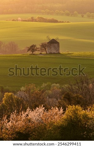 Rustic brick windmill in the midst of expansive spring fields in the warm sunset light,  fresh spring blooming trees, evoking a peaceful and nostalgic countryside life