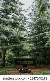 A Rustic Cabin And Fire Pit Nestled Between Two Large Trees At An Abandoned Girl Scout Camp In Central New York.