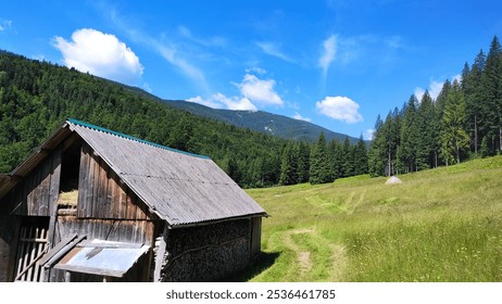 A rustic cabin in a green meadow with mountains and blue skies in the background during a sunny summer day - Powered by Shutterstock