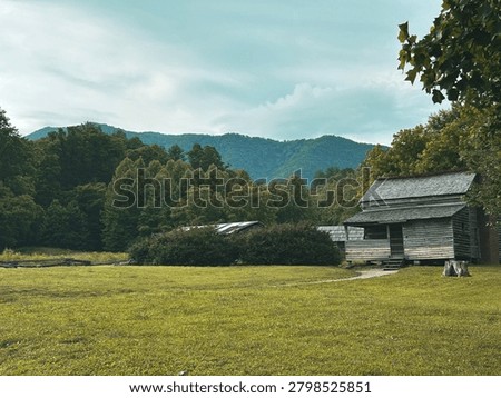 Rustic cabin in the middle of nowhere