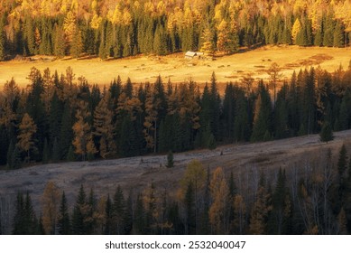 A rustic cabin rests peacefully in a golden autumn meadow, surrounded by lush evergreen and amber forest, with grazing animals nearby. - Powered by Shutterstock