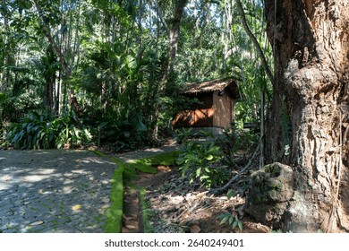 Rustic cabin surrounded by lush greenery in peaceful natural setting