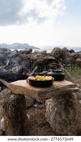 Rustic Campfire Cooking Setup with Kettle and Food Pan in Nature