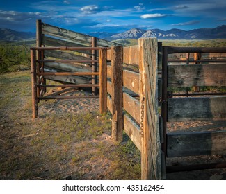 Rustic Cattle Chute And Corals