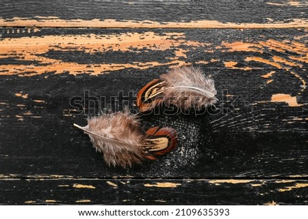 Rustic charm and natural textures, two brown feathers on distressed black wood