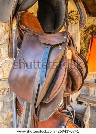 Rustic collection of worn, brown leather saddles and black tack hanging on a wooden rack against a rough, historic stone wall in a stable or rural tack room