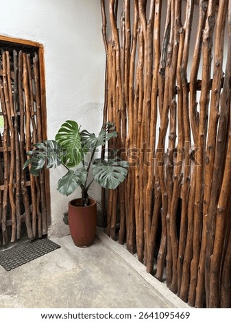 A rustic corner featuring a vertical arrangement of natural wooden sticks as a wall divider, paired with a potted monstera plant in a red terracotta pot.