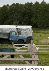 Rustic countryside scene featuring an old blue truck parked near a farm structure, surrounded by grassland and a forest backdrop