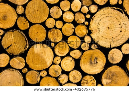 Rustic and cozy log wall 