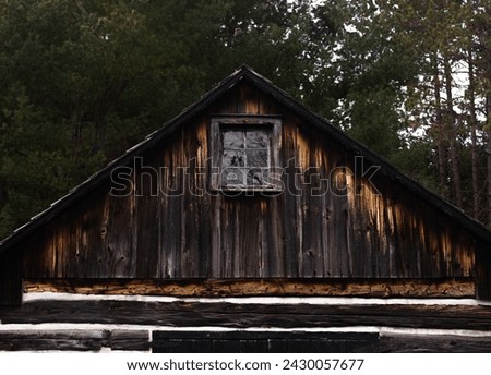 rustic dark cabin in the woods