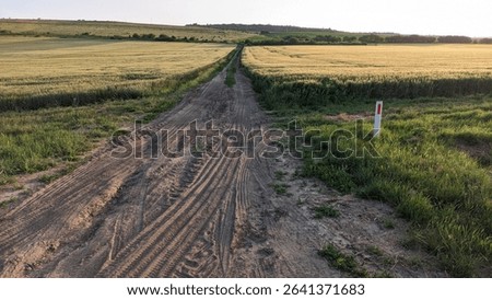 A Rustic Dirt Path Meanders Through Golden Fields Beneath a Vast Clear Blue Sky Above