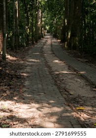 Rustic dirt path through dense green tropical jungle forest