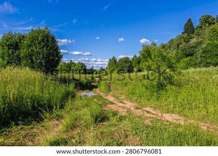Rustic dirt path winding through lush green tall grass meadows under a vibrant summer sky with fluffy clouds, capturing a peaceful countryside escape during a bright sunny day