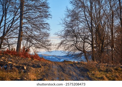 A rustic dirt path winds through bare trees with a scenic view of distant snowy mountains under a soft blue and golden sky, capturing the beauty of a serene winter landscape.