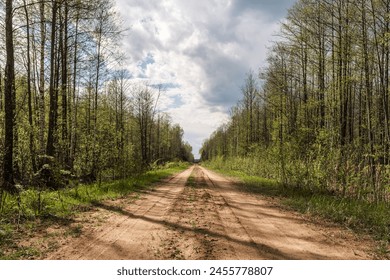 A rustic dirt road winds through a dense forest under a cloudstreaked sky, surrounded by lush green plants and towering trees in a natural landscape