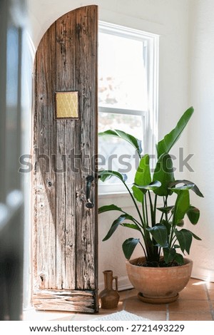 Rustic door interior styling vintage wood plant display home decor wooden door reclaimed wood interior design bohemian decor April 14, 2018 West Palm Beach, Florida
