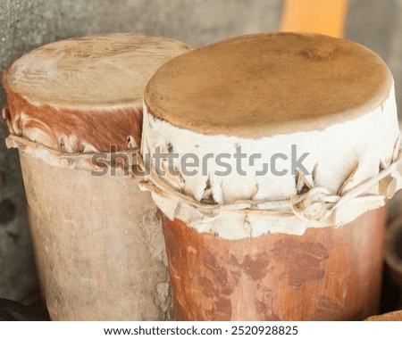 Rustic drums made of tree trunks, percussion of the Tambor de creola or punga dance, dance of African origin of the descendants of African slaves in the state of Maranhão, northeast of Brazil