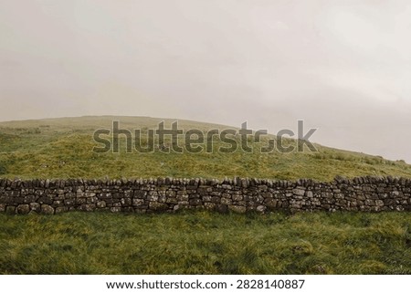 A rustic dry stone wall stretches across a misty, green hillside pasture under an overcast sky, capturing the quiet, weathered charm of traditional countryside stonework and rolling rural landscape.