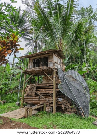 A rustic elevated wooden bird house built with bamboo and reclaimed wood, surrounded by dense tropical vegetation and palm trees. Traditional, old, nature, tree house, wooden, tall, high, hut, shelter