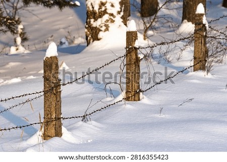 Rustic fence posts, topped with snow, strung with barbed wire across pristine winter snow. Bathed in the warm glow of evening sun, creating a peaceful, frosty scene