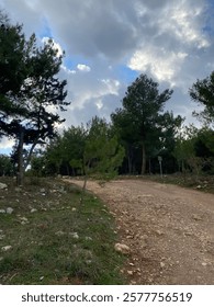 A rustic forest path stretches under a cloudy sky, offering a serene natural scene.